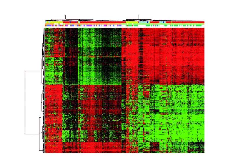 Researchers determine epigenetic origin of docetaxel-resistant breast cancer 