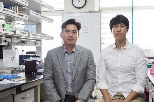 Researchers Describe a Mechanism Inducing Self-Killing of Cancer Cells