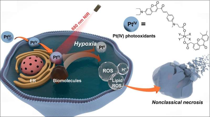 Researchers develop novel photo-oxidation therapy for anticancer treatment 