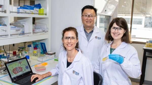 Researchers develop new drug that fights cancer with less renal toxicity 