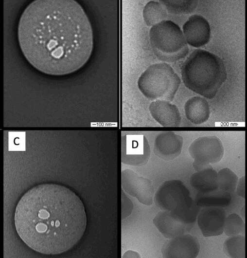 Novel formulation of an injectable drug to treat joint inflammation acts for ten days 