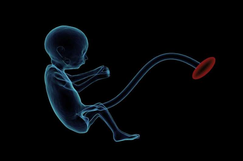 Drop race adjustment for AFP prenatal testing, study urges 