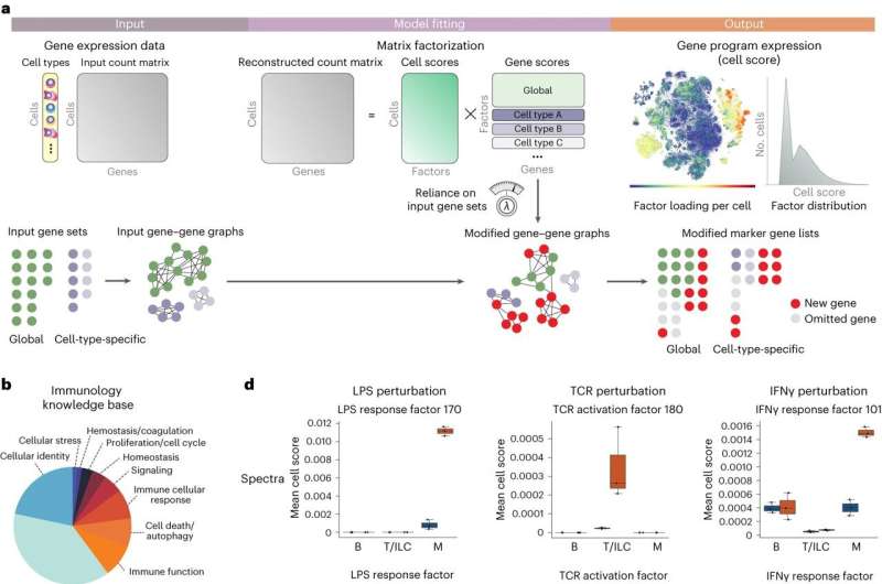 Researchers develop new open-source method to improve decoding of single-cell data