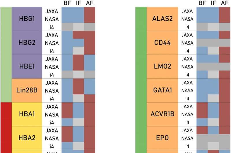 New biomarker database designed to improve astronaut health may also be useful to Earthlings 