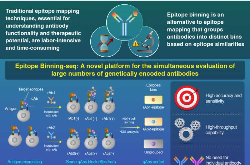 New platform streamlines epitope comparison in antibody research 