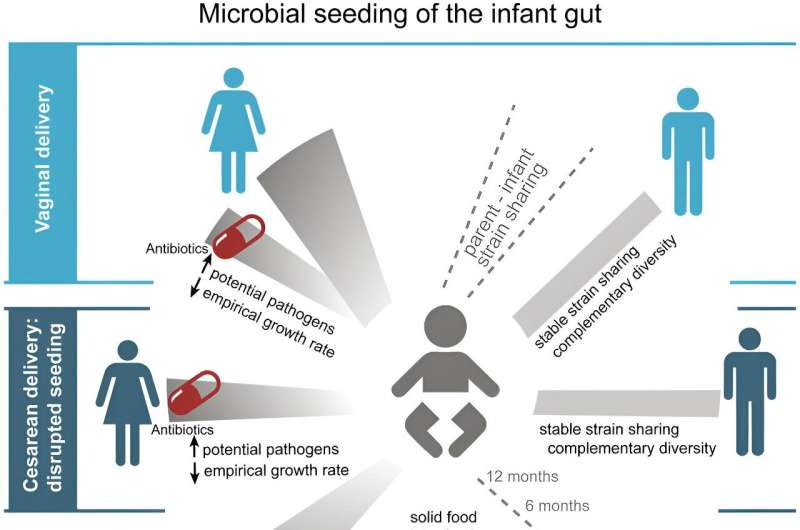 Study shows role of fathers in seeding microbiota of newborns, confirms benefits of maternal fecal microbiota transfer 