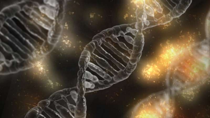 Researchers uncover new sarcoma gene 