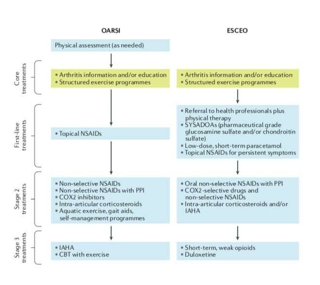 Knee OA guidance for clinicians simplified and streamlined 