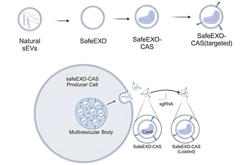 Scientists develop new CRISPR gene editing platform for precision medicine and cancer treatment  