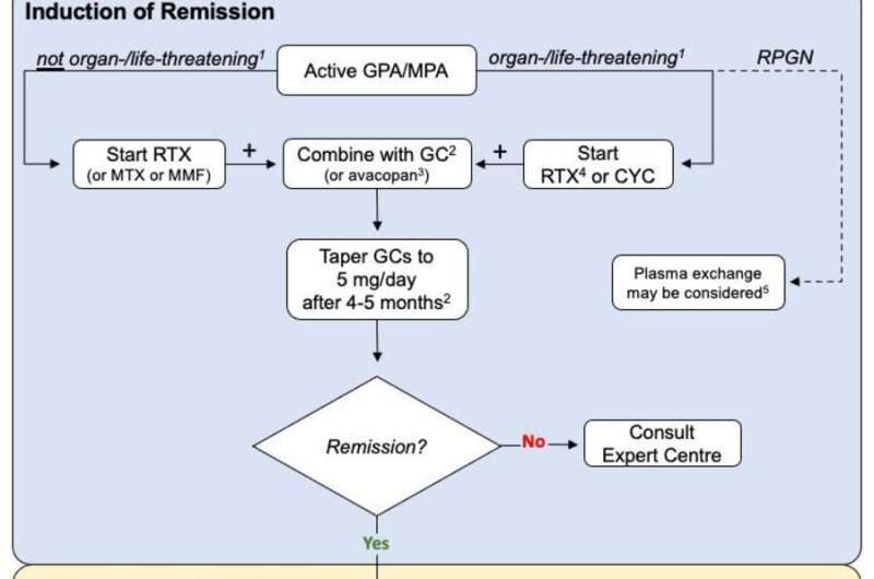 Updated: AAV treatment recommendations 