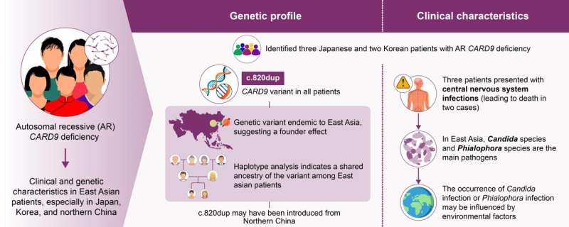 Shedding light on the origin of a genetic variant underlying fungal infections 