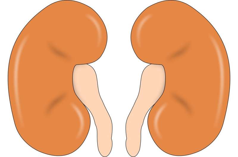 World experts set agenda to improve care of acute kidney injury in kids 