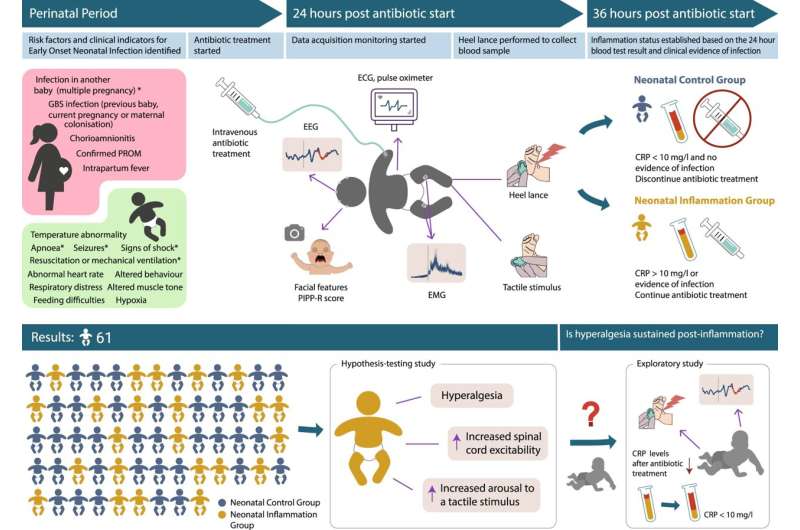 Early life infection increases sensitivity to pain in newborn babies 