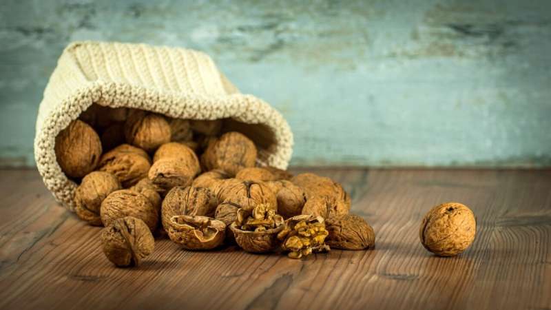 Eating walnuts could benefit adolescents' cognitive development, contribute to psychological maturation 