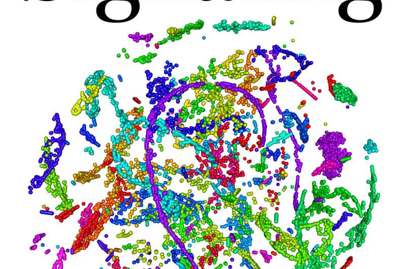 Researcher: Big data, networks identify cell signaling pathways in lung cancer 