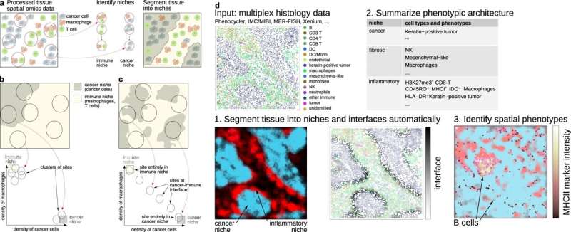 Researchers take new AI approach to analyzing tumors