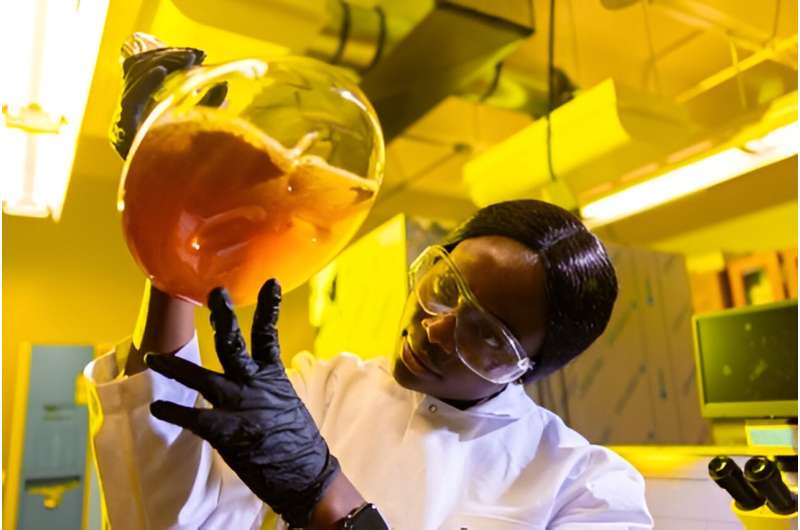 Blessing Ogboo works in the Natural Sciences Complex chemistry lab of David Heppner. Credit: Douglas Levere / Univeristy at Buffalo