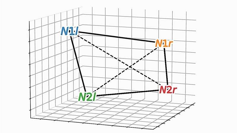Geometric arrangement for the coding of two animals' identities (N1 and N2) in different positions (left and right). Credit: Fusi Lab / Columbia Zuckerman Institute