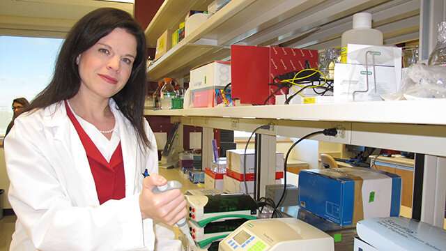 Research could lead to more precise diagnosis and treatment of ovarian cancer 