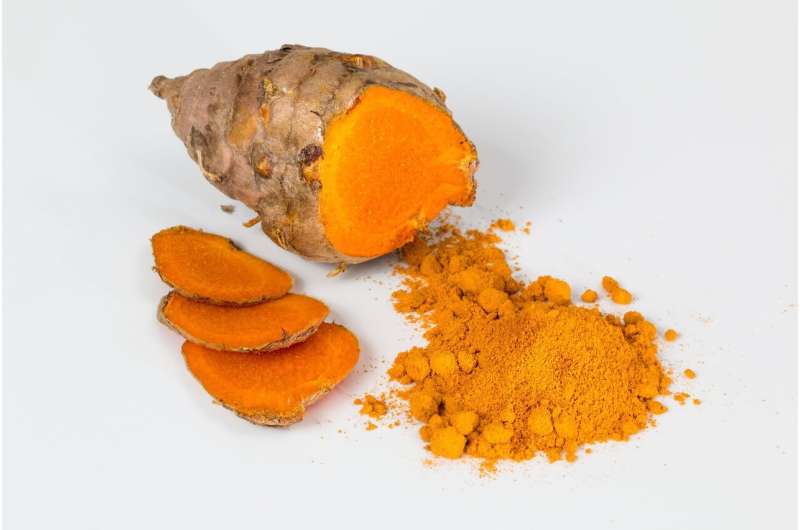 Study highlights anti-tumor activity of curcumin on stomach cancer 