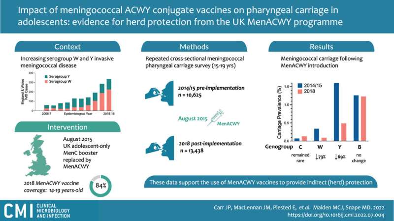 MenACWY teenage meningitis vaccine programme drives herd immunity across all ages