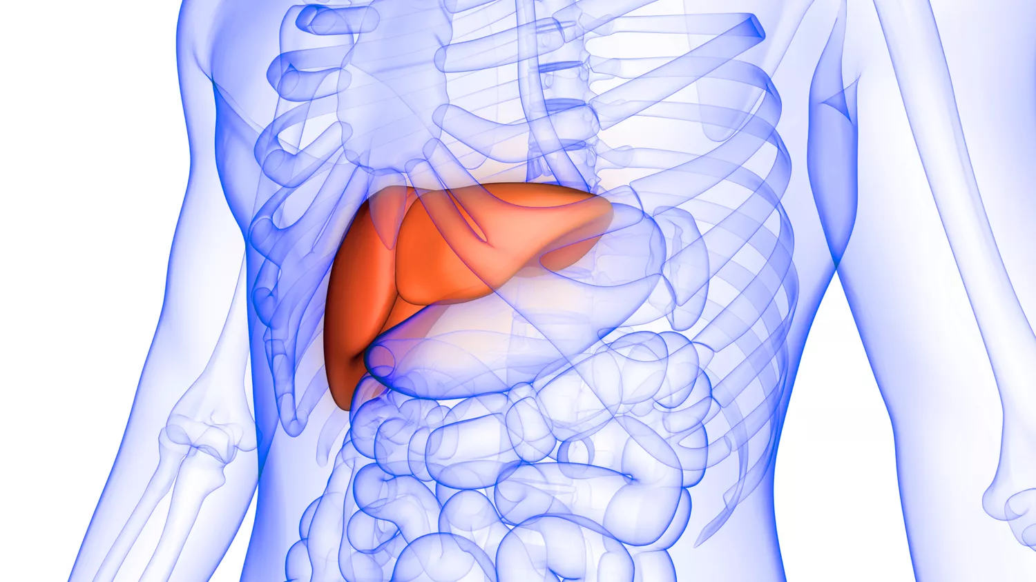 What Is Hepatomegaly?