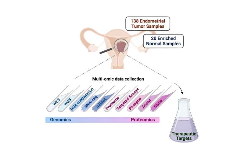 Research reveals new possibilities to improve treatment of endometrial carcinoma 