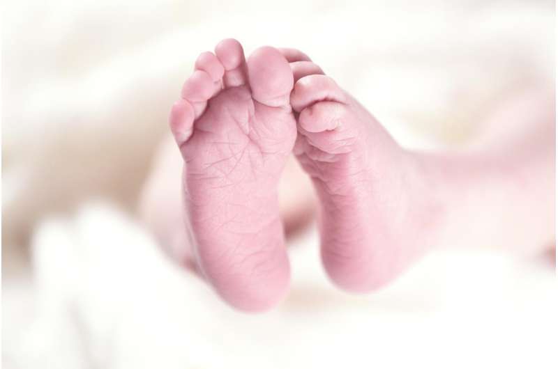 Low birthweight in newborns linked to protein in placenta 