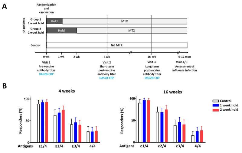 Study finds holding methotrexate for one week after flu vaccine may be as effective as a two-week hold 