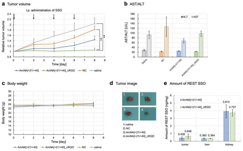 Splicing it all together in the fight against cancer