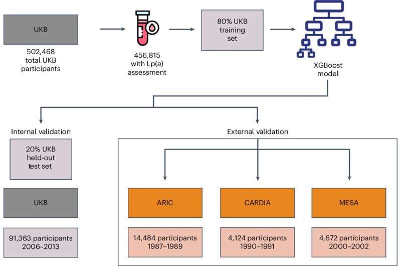 What to know about lipoprotein(a)