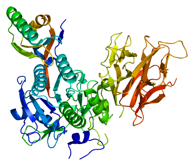 Protein_PCSK9_PDB_2p4e