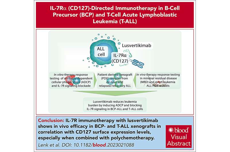 New antibody harbors great potential for fighting blood cancer