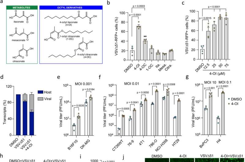 Breakthrough research makes cancer-fighting viral agent more effective