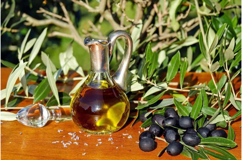 Compound from olives shows promise for treating obesity and diabetes