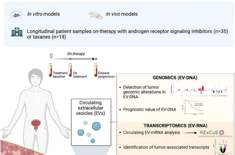 Novel liquid biopsy methodology enables the monitoring of disease evolution in patients with metastatic prostate cancer