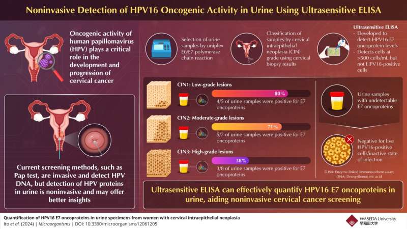 New urine-based test shows promise in making cervical cancer screening more accessible and less invasive