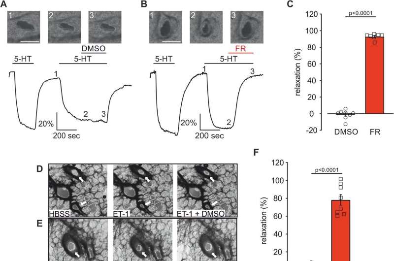 Active plant substance reduces pulmonary hypertension