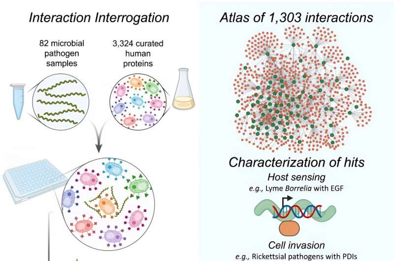 Elucidating host-microbe interactions to address vector-borne diseases