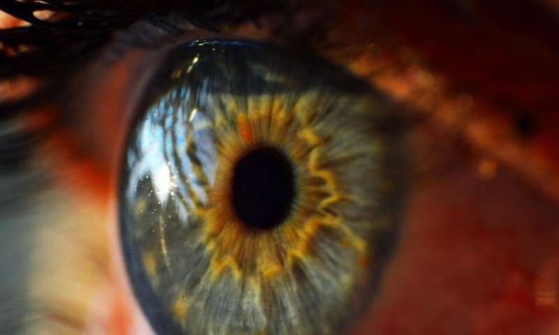 Predicting long-lasting pain from LASIK with tear proteins