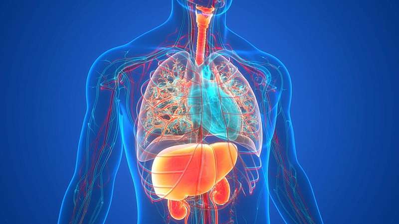 Study compares rivaroxaban, warfarin with apixaban for cirrhosis, A-fib