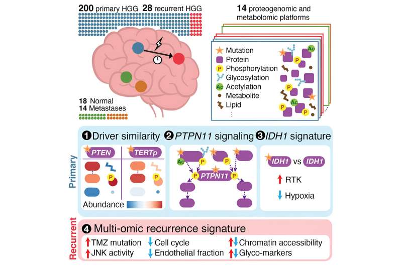 Proteogenomics analysis of high-grade gliomas offers hints on tumor evolution