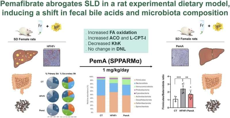 A drug that lowers blood lipids could treat the world’s most common liver disease