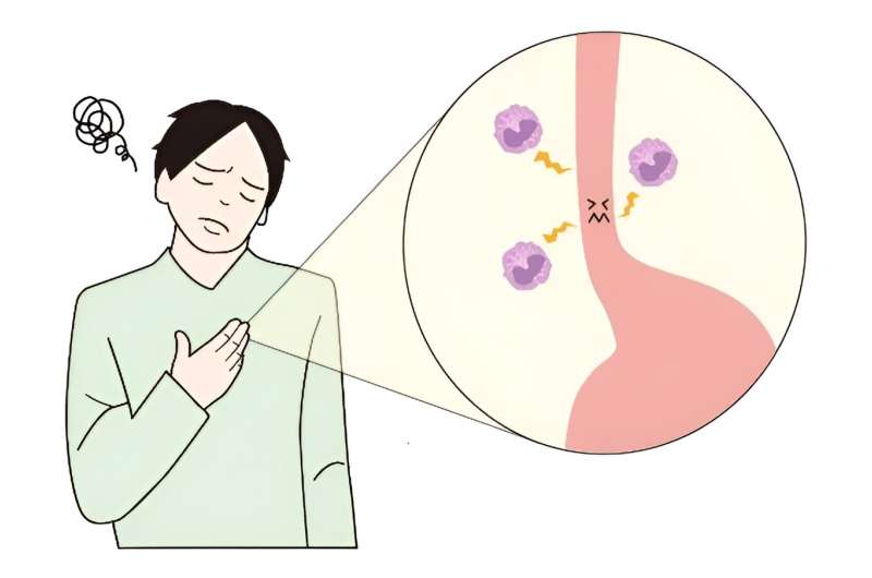 Rising incidence of chronic allergic disorder in Japan confirmed by large-scale data analysis