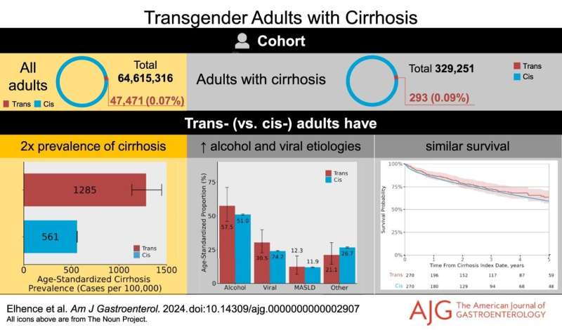 Study finds cirrhosis affects twice as many transgender adults as cisgender adults