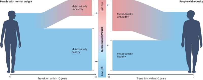 Metabolically healthy obesity: Fat distribution key to assessing the risk of cardiovascular disease