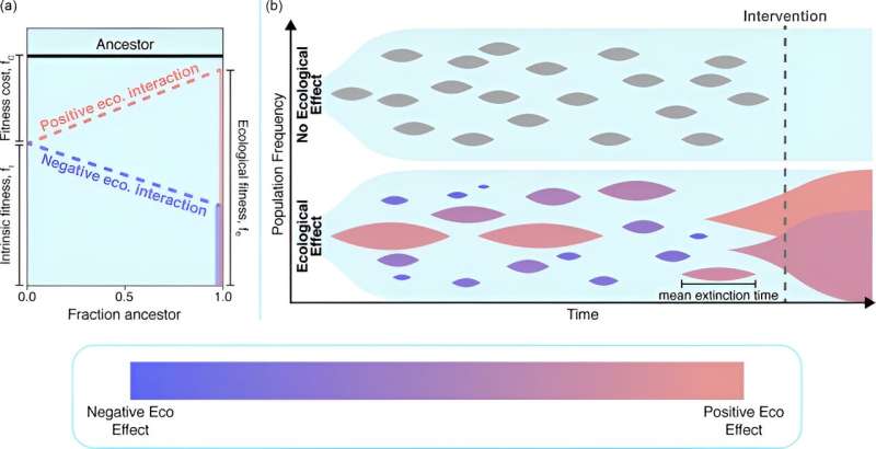 Unlocking the mystery of preexisting drug resistance: Study sheds light on cancer evolution