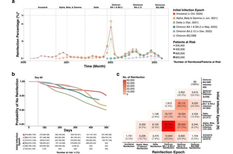 Study suggests reinfections from the virus that causes COVID-19 likely have similar severity as original infection