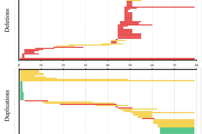 New NIPT-based method reveals 33 pathogenic CNVs in the DMD gene