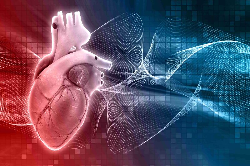 Harnessing AI: Early Heart Failure Detection through Chest X-Rays